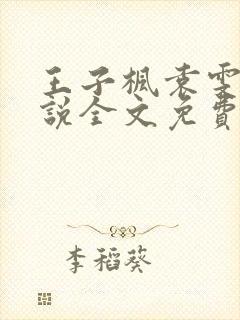 王子枫袁雯洁小说全文免费阅读