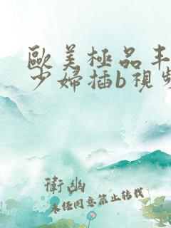 欧美极品丰满骚少妇插b视频