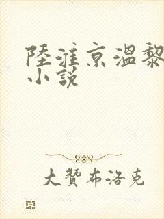 陆淮京温黎全文小说