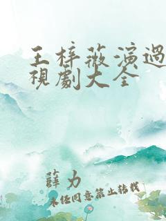 王梓薇演过的电视剧大全