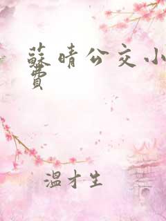 苏晴公交小说免费