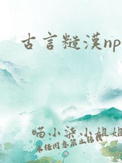 古言糙汉np