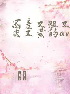 国产又粗又猛又爽又黄的av