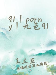 91丨porny丨九色91