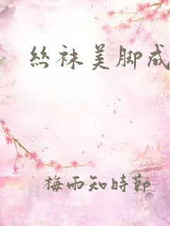 丝袜美脚成人网