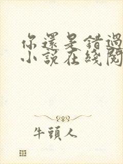 你还是错过了我小说在线阅读