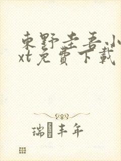 东野圭吾小说txt免费下载