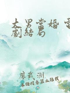 大男当婚 电视剧结局