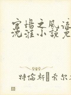官场之风流人生沈淮小说免费阅读