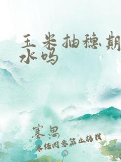 玉米抽穗期要浇水吗