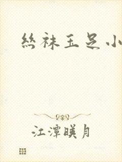 丝袜玉足小说