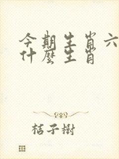 今期生肖六七开什么生肖