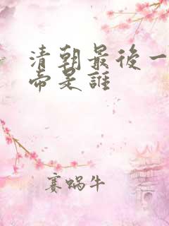 清朝最后一任皇帝是谁