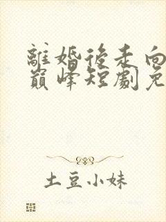 离婚后走向人生巅峰短剧免费观看