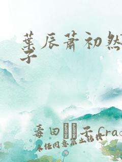 叶辰萧初然叶公子