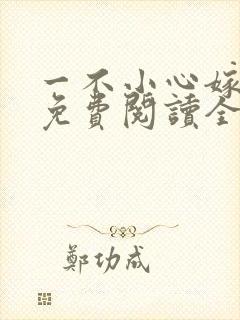 一不小心嫁总裁免费阅读全文