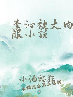 李沁被大肉楱征服小说