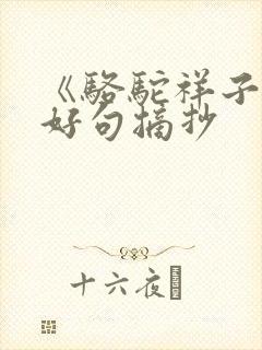 《骆驼祥子》的好句摘抄