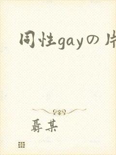 同性gayの片
