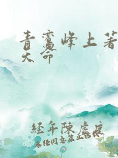 青鸾峰上著无敌天命