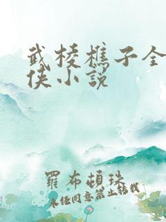 武棱樵子全部武侠小说