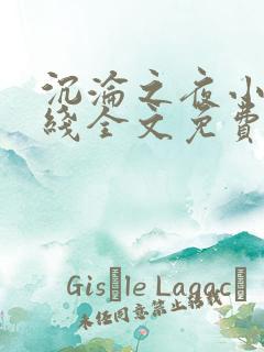 沉沦之夜小说在线全文免费阅读