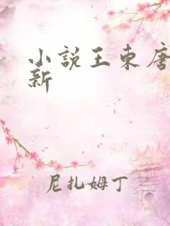 小说王东唐潇最新