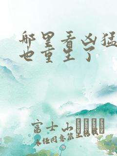 哪里看凶猛道侣也重生了