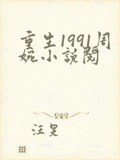 重生1991周婉小说阅