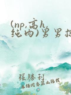 (np,高h,纯肉)男男总攻