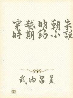 穿越明朝朱元璋时期的小说