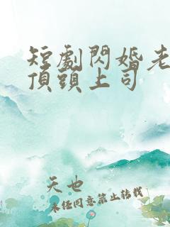 短剧闪婚老公是顶头上司