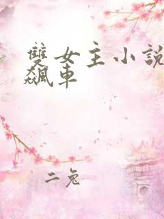 双女主小说高速飙车