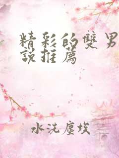 精彩的双男主小说推荐