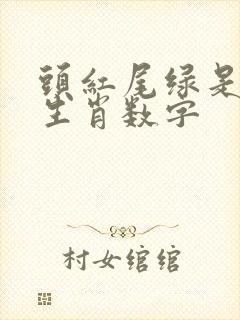 头红尾绿是什么生肖数字