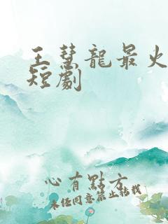 王慧龙最火十部短剧