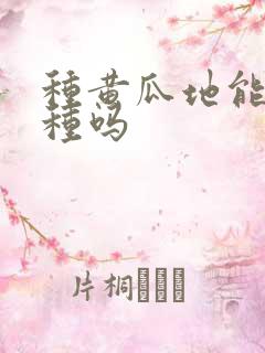 种黄瓜地能重茬种吗