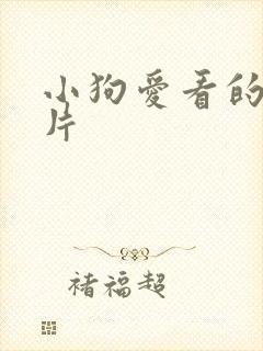 小狗爱看的动画片