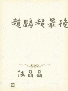 赵鹏超最后结局 赵鹏超最后结局