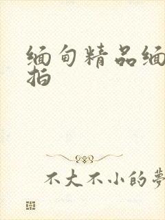 缅甸精品缅甸偷拍