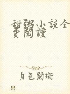 甜粥小说全文免费阅读