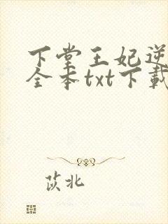 下堂王妃逆袭记全本txt下载