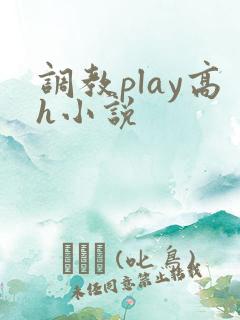 调教play高h小说
