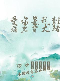 爱你是我难言的痛免费大结局