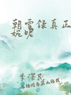 朝雪录真正的秦婉呢