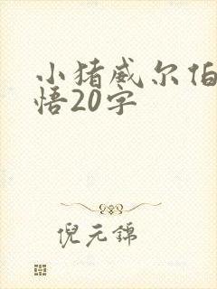 小猪威尔伯的感悟20字