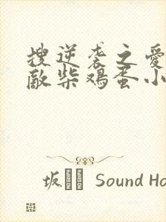 搜逆袭之爱上情敌柴鸡蛋小说完整版