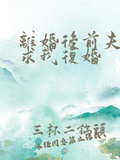 离婚后前夫哭着求我复婚