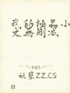 我的极品小姨全文无删减