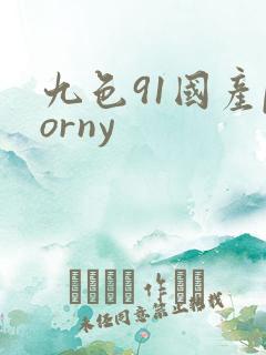 九色91国产porny